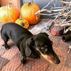 Meet your Posher, Chyneen